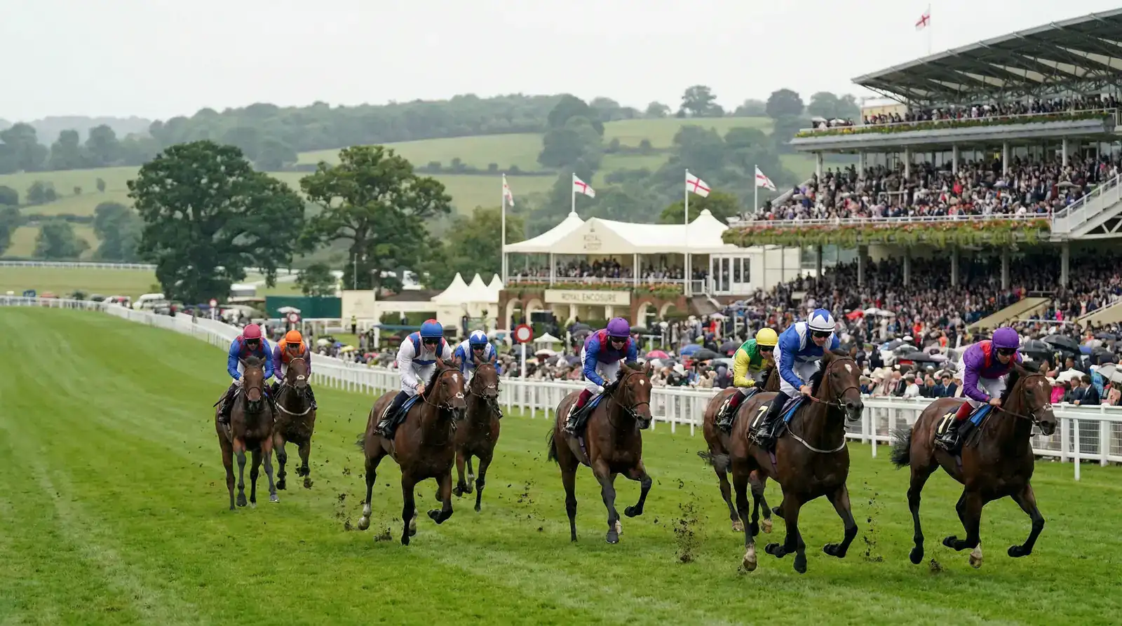 Cavalos competindo na pista de grama do Royal Ascot com tribuna ao fundo